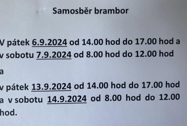 Samosběr brambor - Agro Bystřice a.s. 