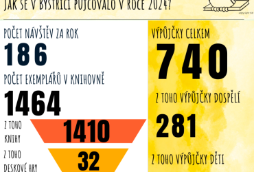 Jak se půjčovalo v knihovně v roce 2024? 